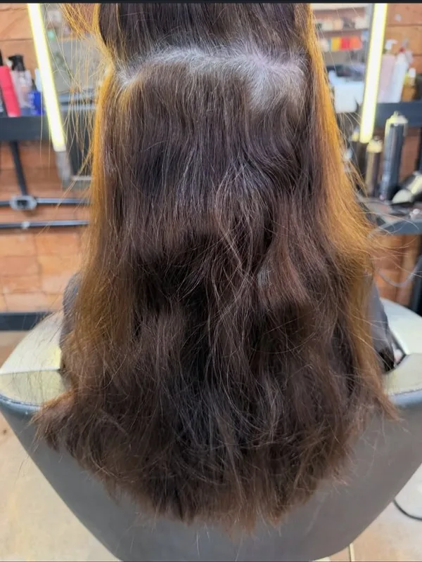 Antes: cabelo castanho opaco, sem definição de corte e sem movimento
